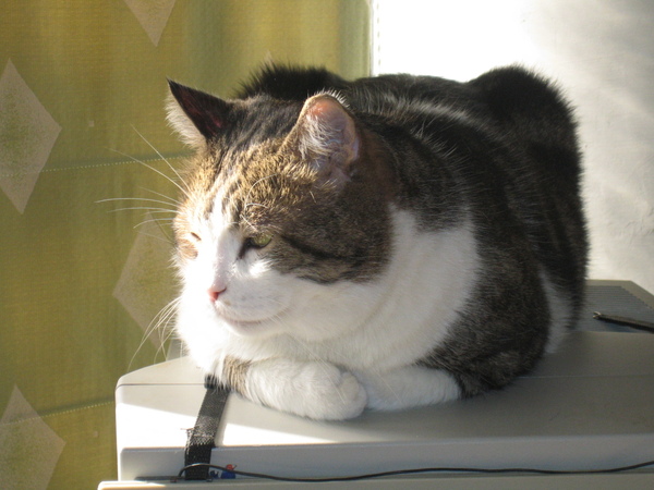 IMG_1179.JPG IMG_1179.JPG