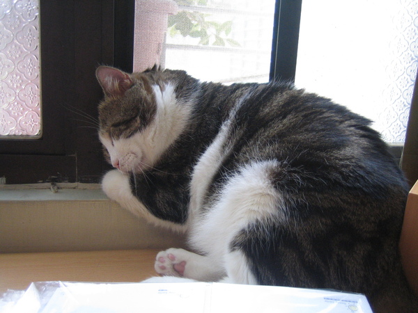 IMG_0795.JPG IMG_0795.JPG