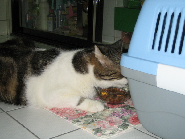 IMG_0389.JPG IMG_0389.JPG