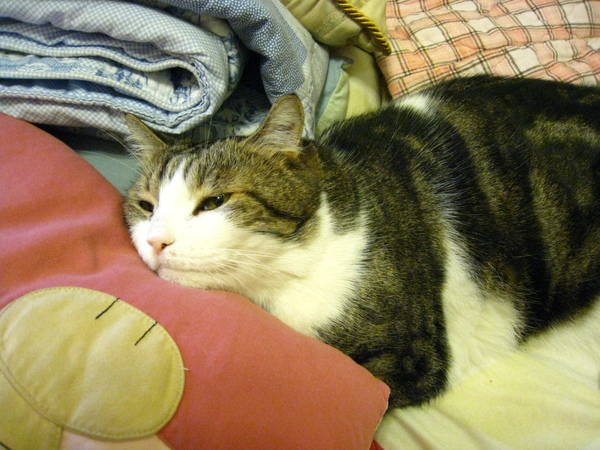 IMG_0517.JPG IMG_0517.JPG