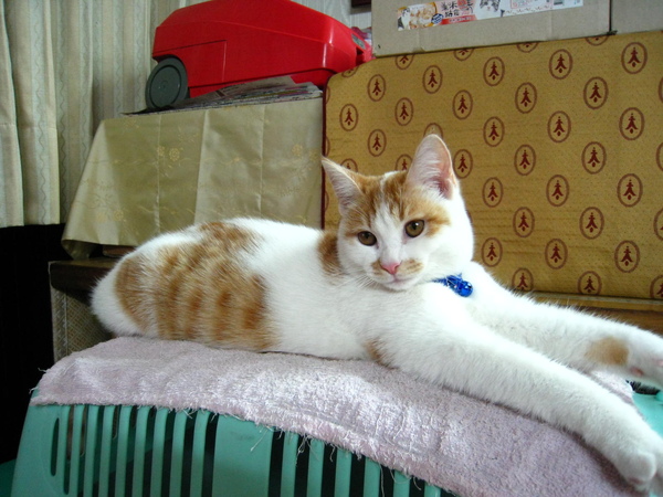 IMG_0609.JPG IMG_0609.JPG