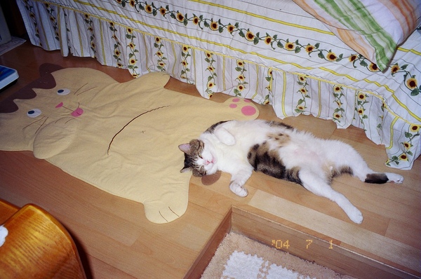 30970028.JPG 30970028.JPG