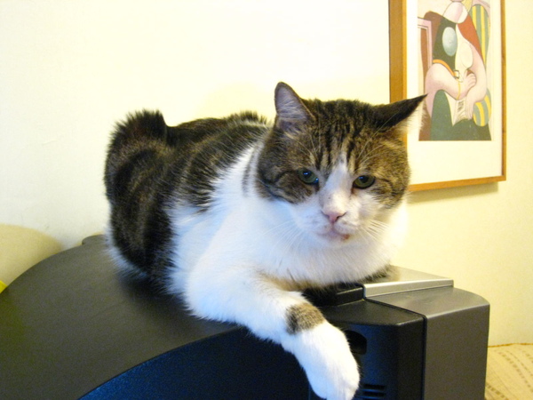 IMG_0643.JPG IMG_0643.JPG