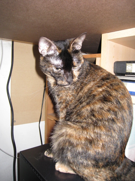 2009_03_19_0585.JPG 2009_03_19_0585.JPG