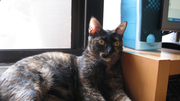 IMG_0096.JPG IMG_0096.JPG