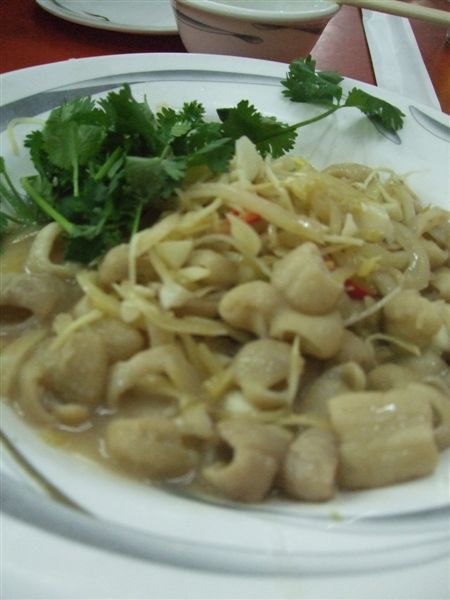DSCF5307.JPG