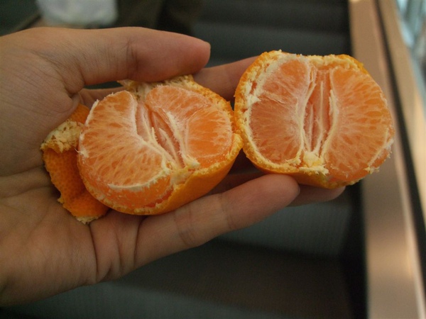 DSCF5008.JPG