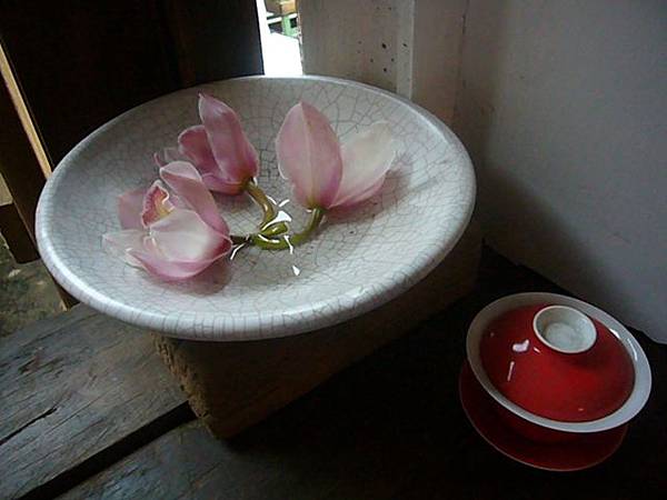 P1150073 P1150073