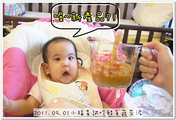 2011.09.01 小福星試吃happy baby鮭魚蔬菜泥 (8).JPG