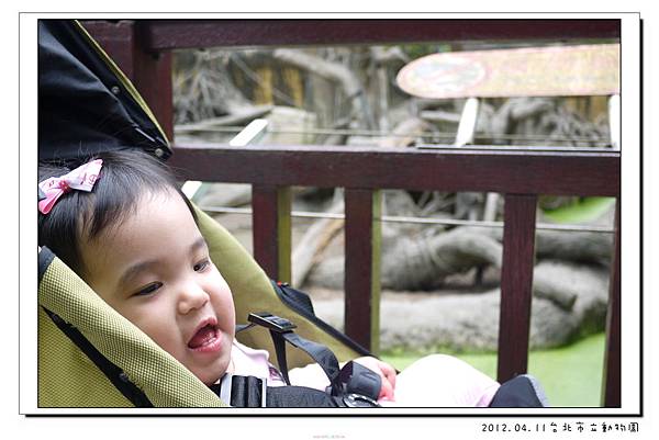 2012.04.11台北市立動物園 (17)