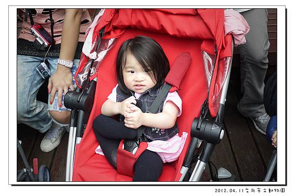 2012.04.11台北市立動物園 (34)