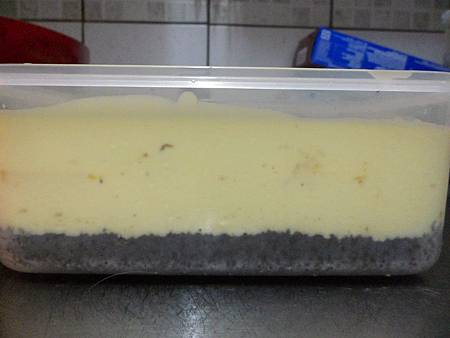 芒果慕斯蛋糕-側看.JPG 芒果慕斯蛋糕-側看.JPG