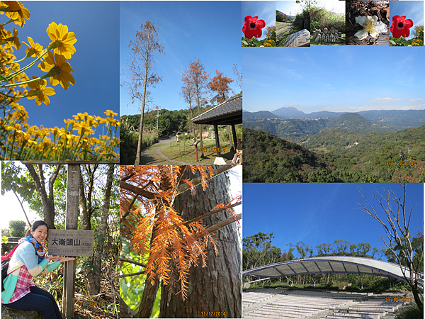 大崙頭山 大崙頭山