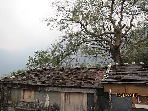 IMG_6198 IMG_6198