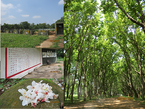 後花園 後花園