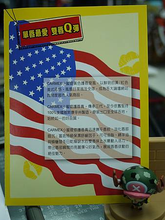 P1250015 試用