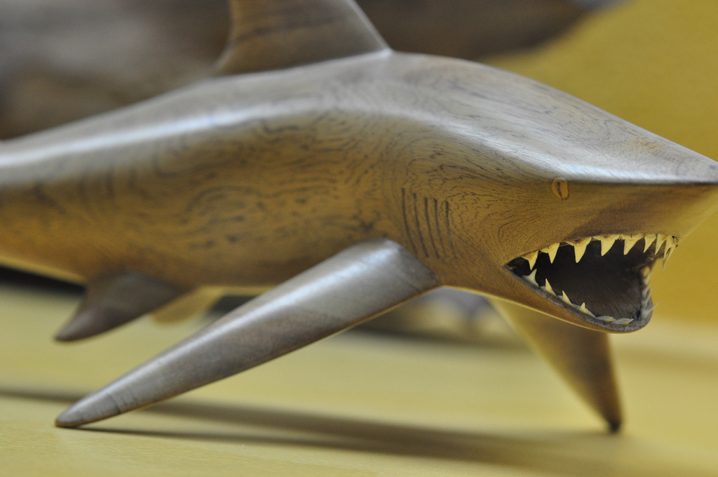 鯊魚木雕