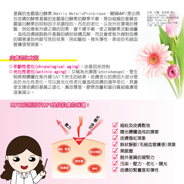 皺效3.jpg