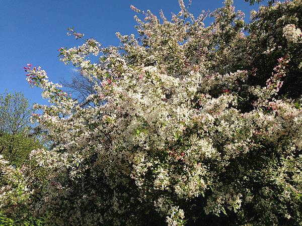 IMG_1535.JPG IMG_1535.JPG