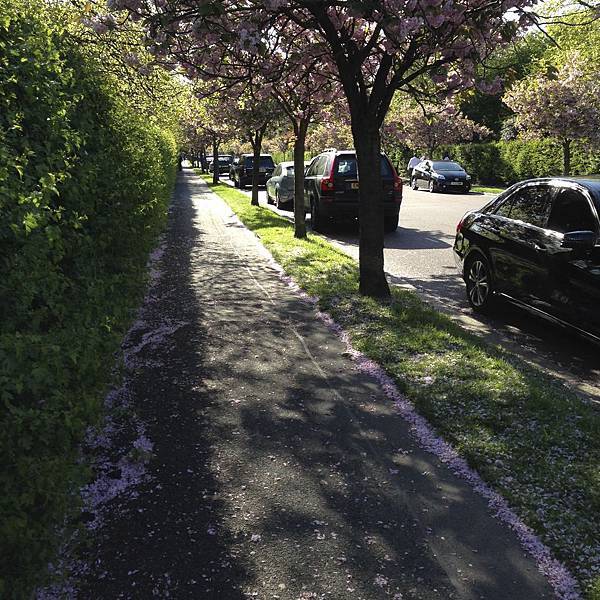 IMG_1539.jpg IMG_1539.jpg