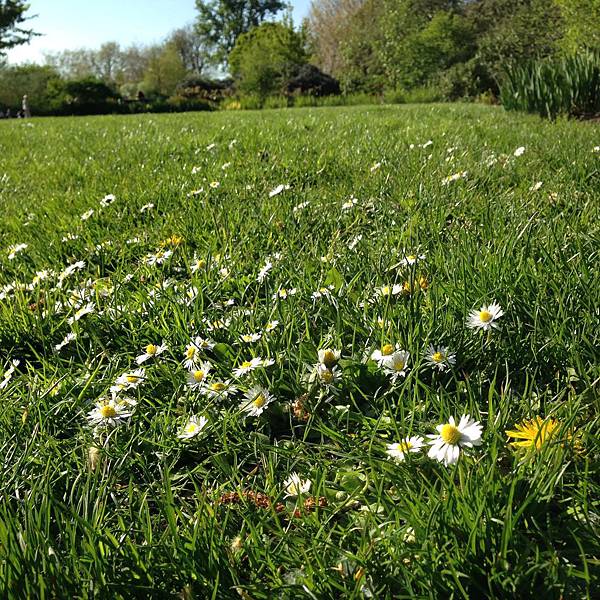 IMG_1542.JPG IMG_1542.JPG