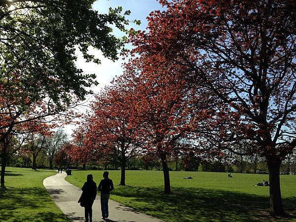 IMG_1549.JPG IMG_1549.JPG