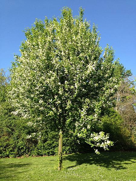 IMG_1551.jpg IMG_1551.jpg