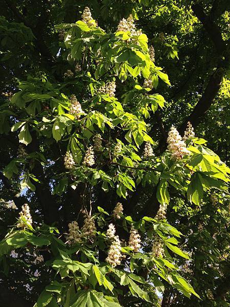 IMG_1555.jpg IMG_1555.jpg