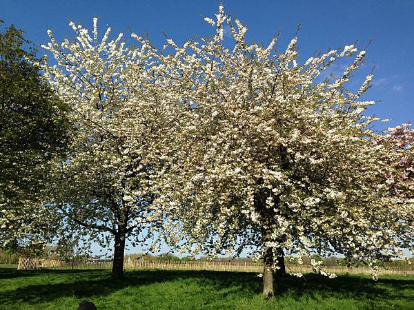 IMG_1558.JPG IMG_1558.JPG