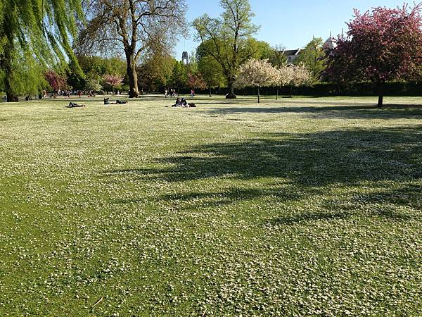 IMG_1564.JPG IMG_1564.JPG