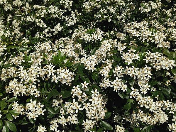 IMG_1567.JPG IMG_1567.JPG