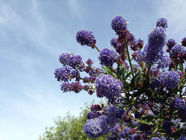 IMG_1569.JPG IMG_1569.JPG