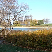 DSC05525.JPG DSC05525.JPG