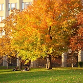 DSC05569.JPG DSC05569.JPG