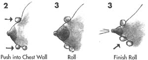 breast_engorgement5.jpg breast_engorgement5.jpg