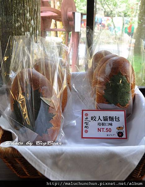 DSC_0070.jpg DSC_0070.jpg