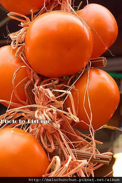 20080420螢光/北埔南庄蓬萊南庄0099.jpg 20080420螢光/北埔南庄蓬萊南庄0099.jpg