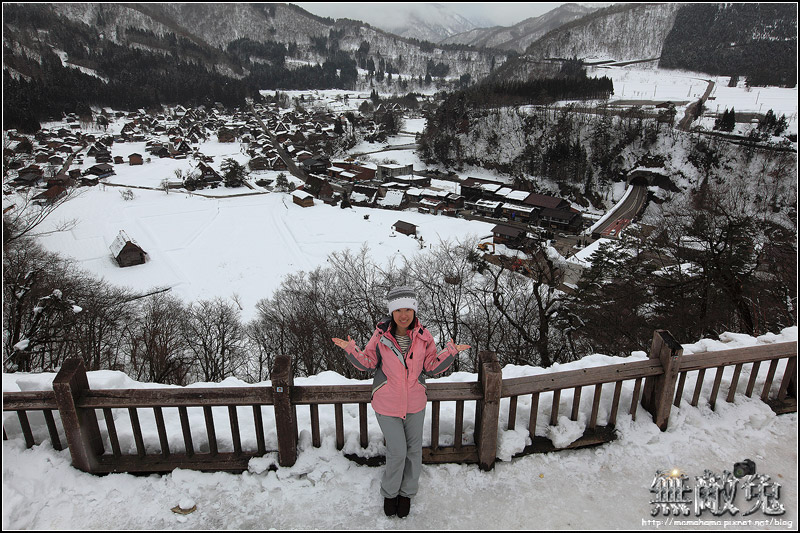 IMG_2223.JPG IMG_2223.JPG