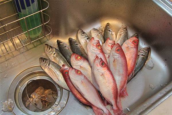 1010215 017.jpg 1010215 017.jpg