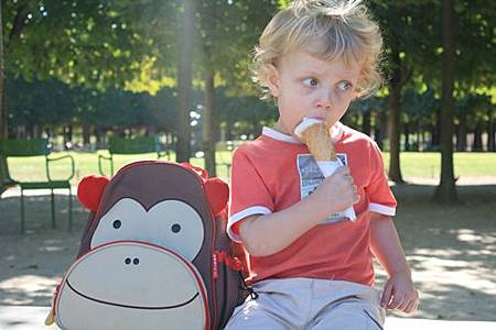 skip hop zoo pack skip hop zoo pack