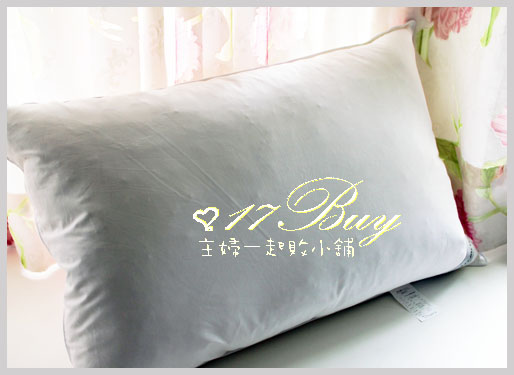 羽絨枕.jpg 羽絨枕.jpg