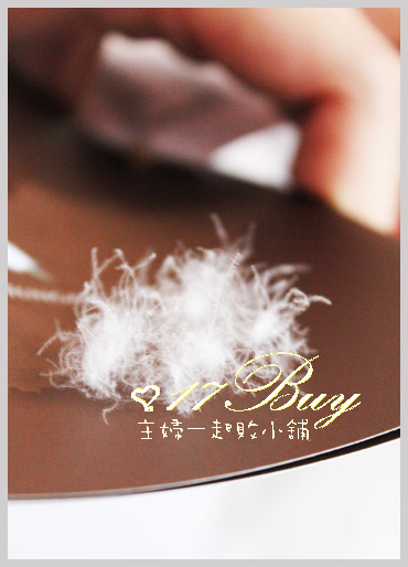 高級羽絨-原絨.jpg 高級羽絨-原絨.jpg