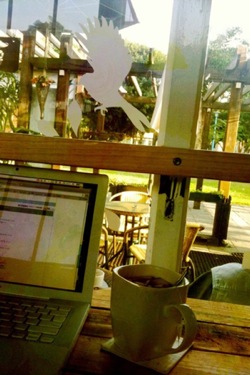 sunny day in my writing.jpeg sunny day in my writing.jpeg