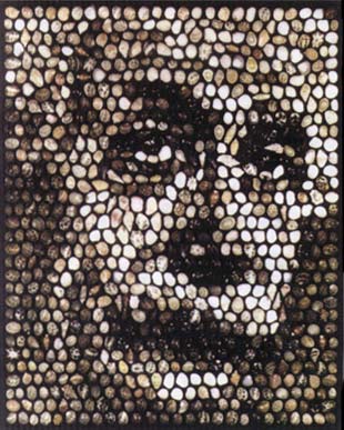 愛因斯坦與貝殼