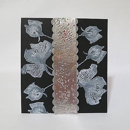 IMG_4900_m IMG_4900_m