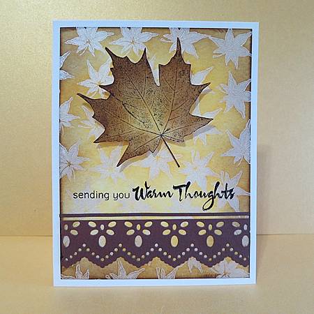 IMG_5582_m IMG_5582_m