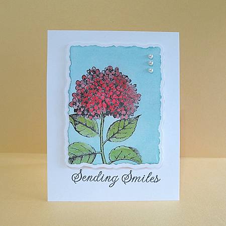 IMG_6022_m IMG_6022_m