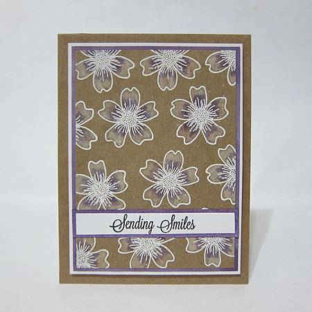 IMG_4848_m IMG_4848_m
