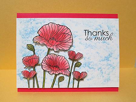 IMG_0342_m IMG_0342_m