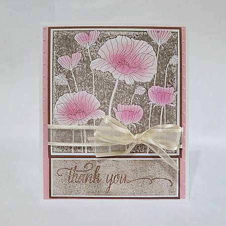 IMG_0384_m IMG_0384_m